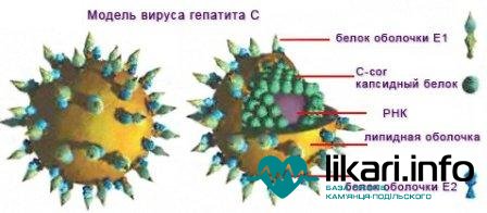 Аналіз на гепатит С
